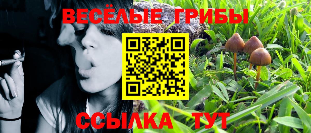 Галлюциногенные грибы ЛСД  Вход с VPN  Электросталь 